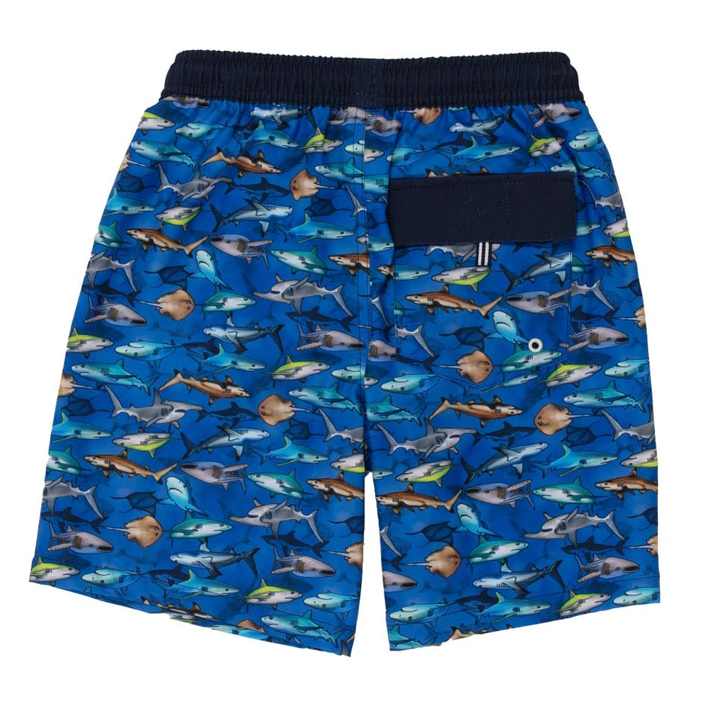 Maillot Short Requin 12-24m