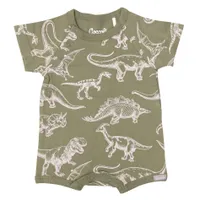 Dinosaurs Romper 1-18m