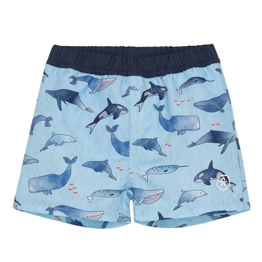 Short Maillot UV Imprimée Baleine 9-18