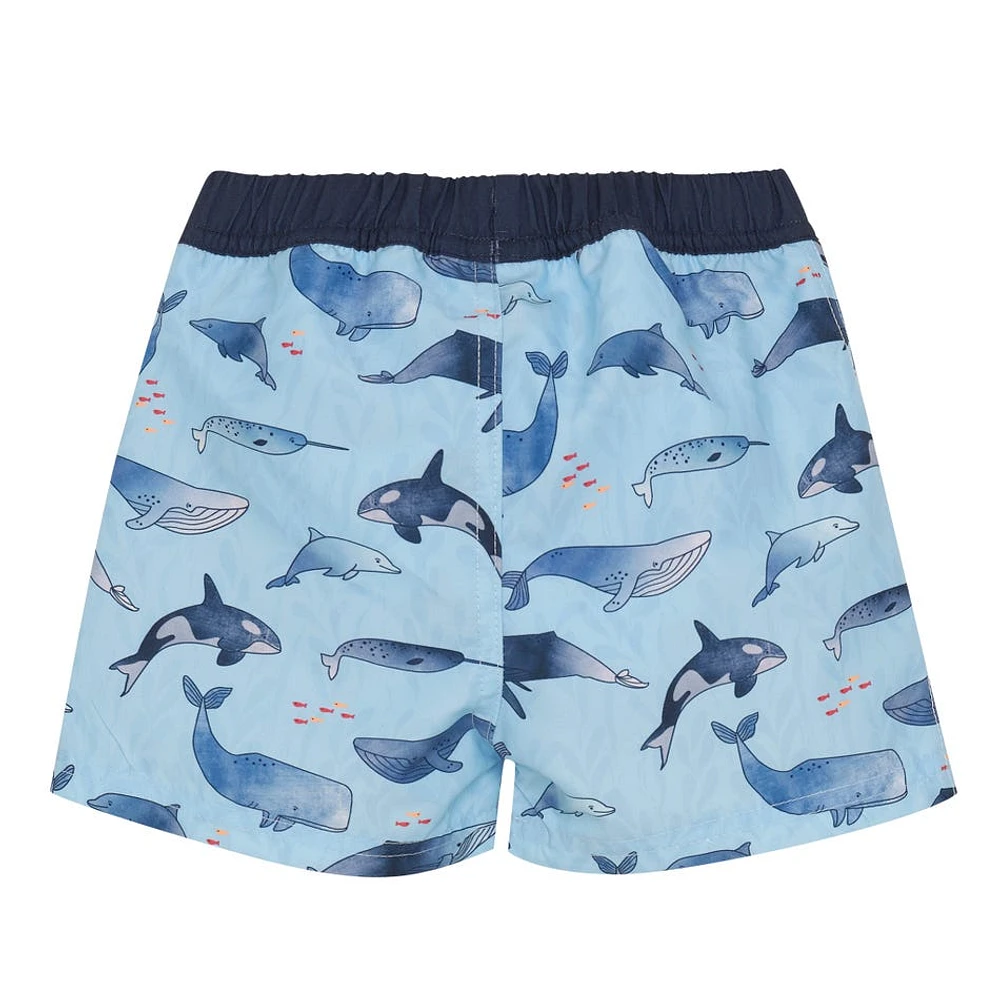 Whale AOP Swim Shorts 9-18m