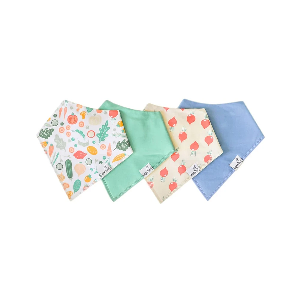 Baby Bandana Bibs Set of 4 - Veggies