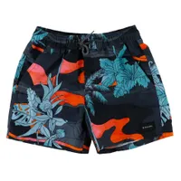 Mason Volley-Ball Boardshort