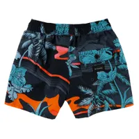 Mason Volley-Ball Boardshort