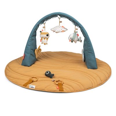 Activity Gym with Play Mat - Sea Friends Colour Mix