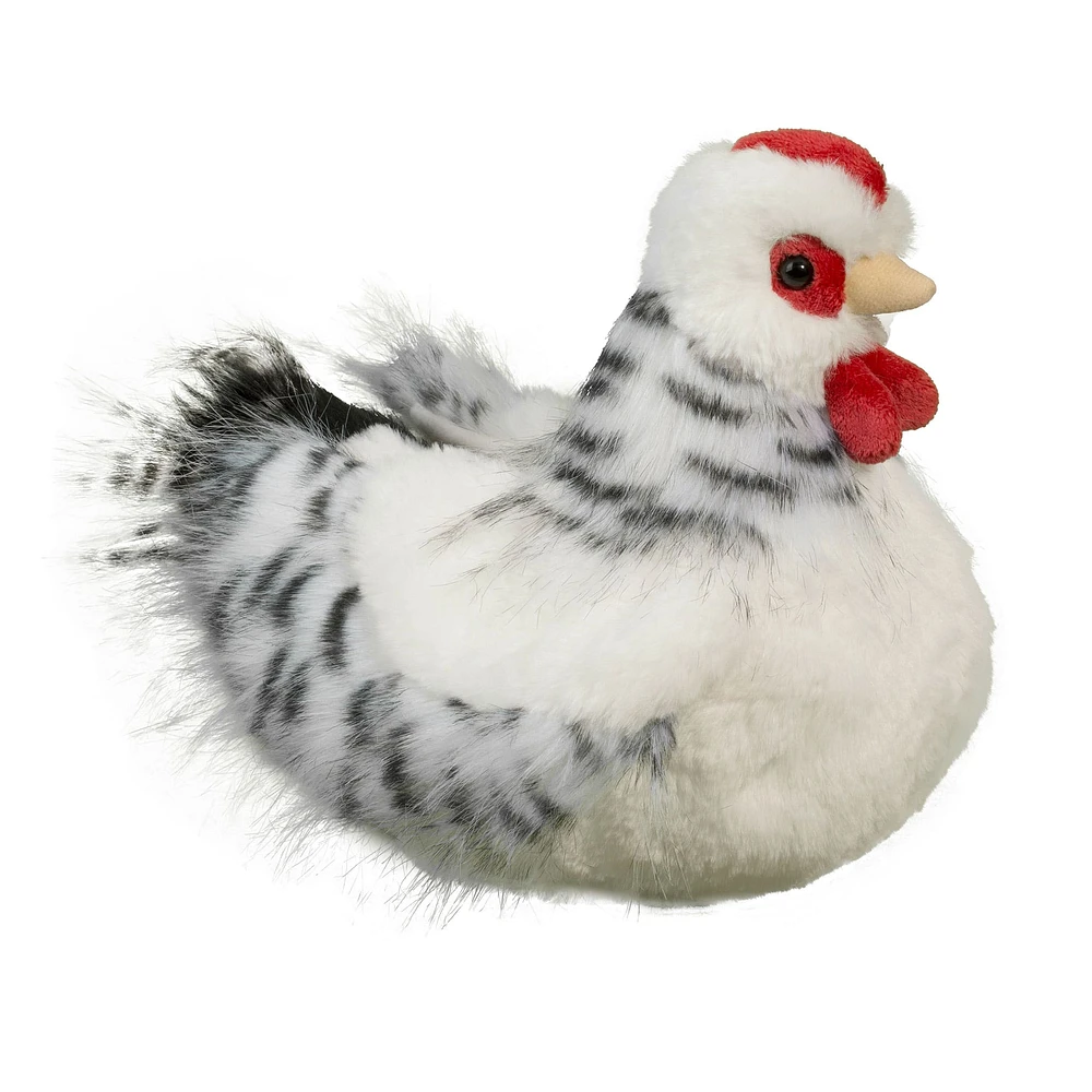 Poule Blanche Salty