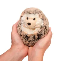 Spunky Hedgehog