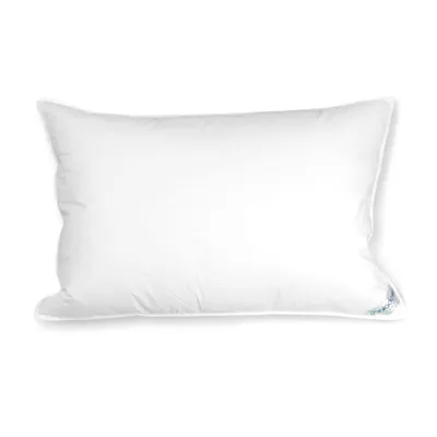 Pillow and a pillowcase 16" x 20"