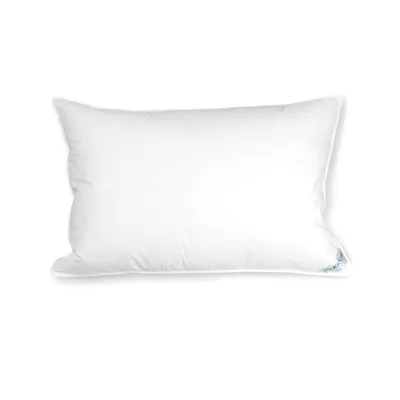 Pillow and a pillowcase 12" x 16"