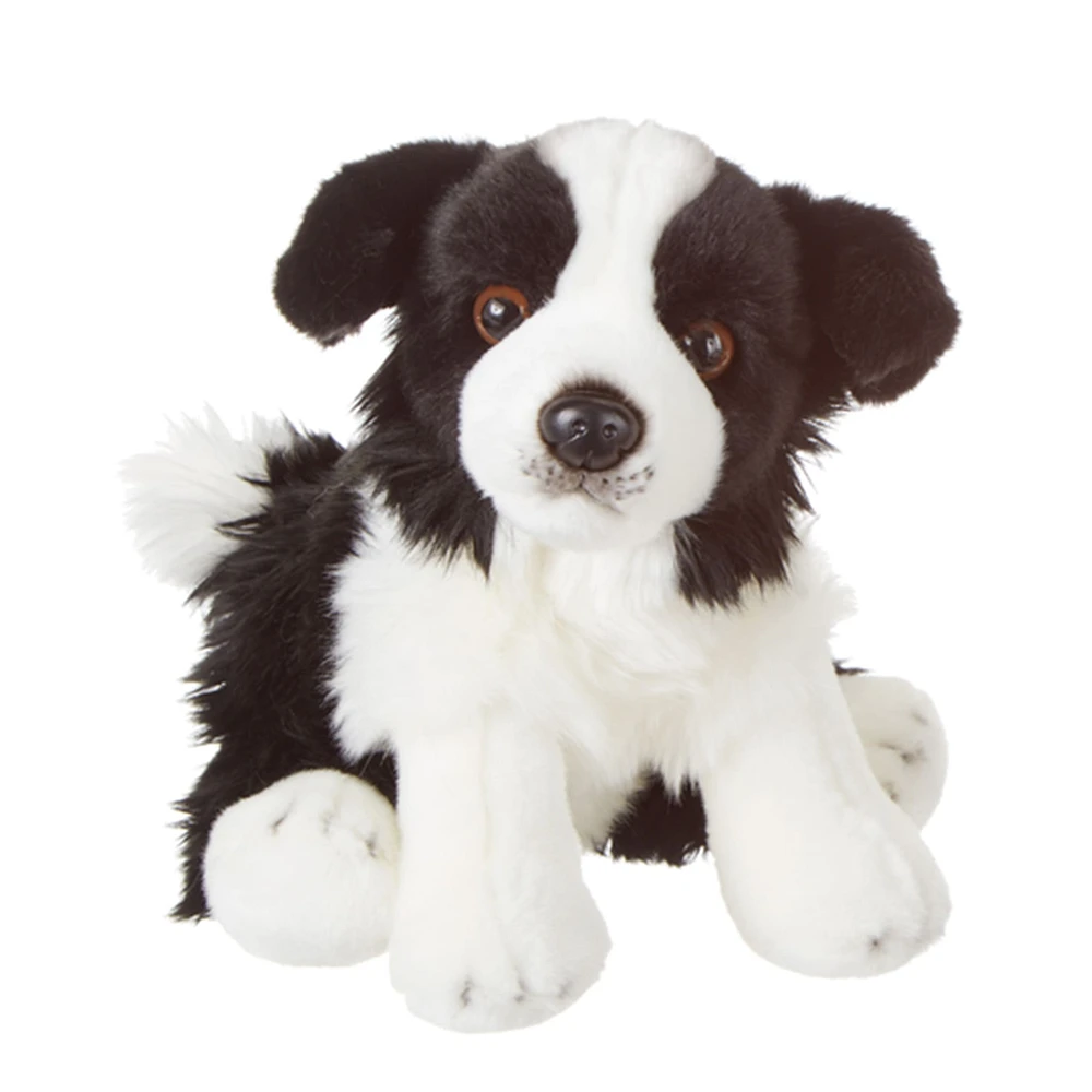 Chien Border Collie