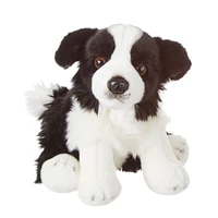 Chien Border Collie