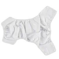 Dino Swim Diaper 8-35lb