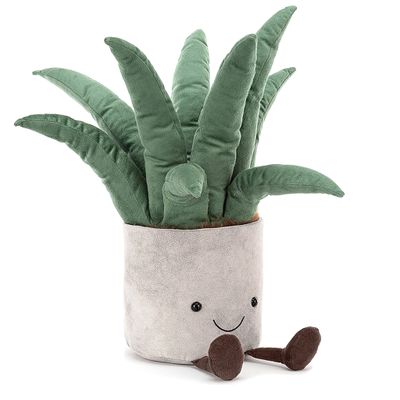 Plant Aloe Vera 15"