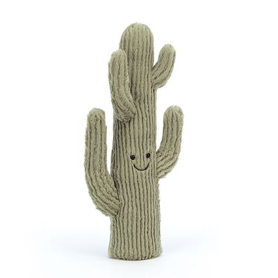 Amuseable Desert Cactus 13"