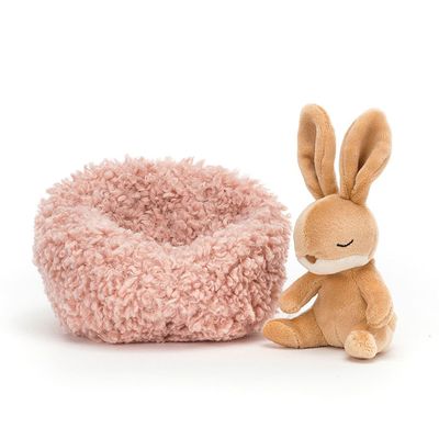 Hibernating Bunny