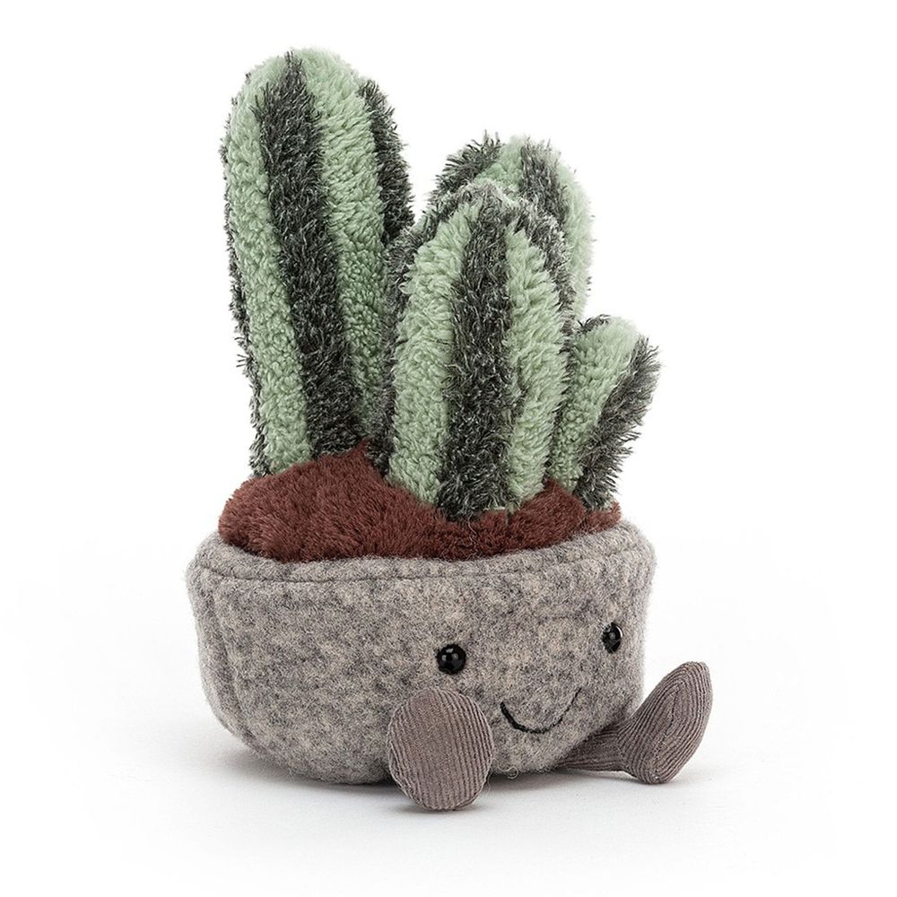 Plant Cactus 6"