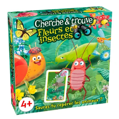 Cherche Et Trouve Insectes