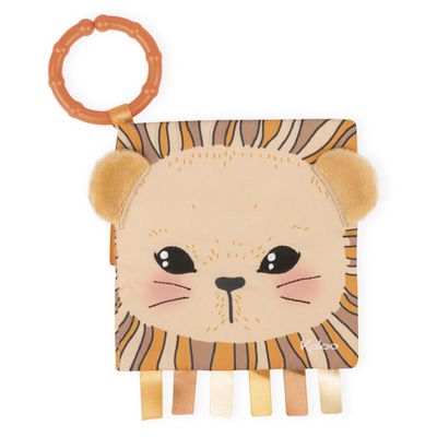 Activity Book Lion