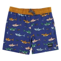 Shark UV Swim Short 2-12y