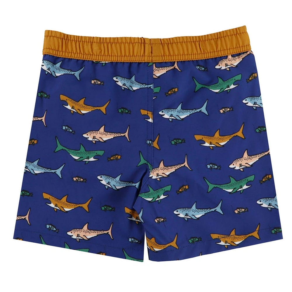 Maillot Short UV Requins 2-12ans