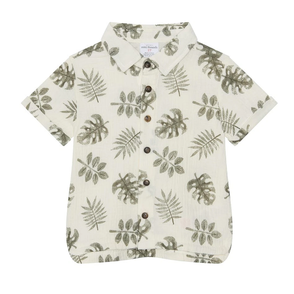 Safari 4 Pieces Set 2-4y