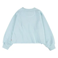 Mint Raglan Crewneck 4-6x