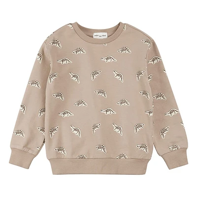 Dino Fossil Sweatshirt 2-7y