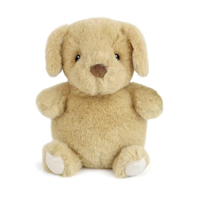 Jake Petit Puppy