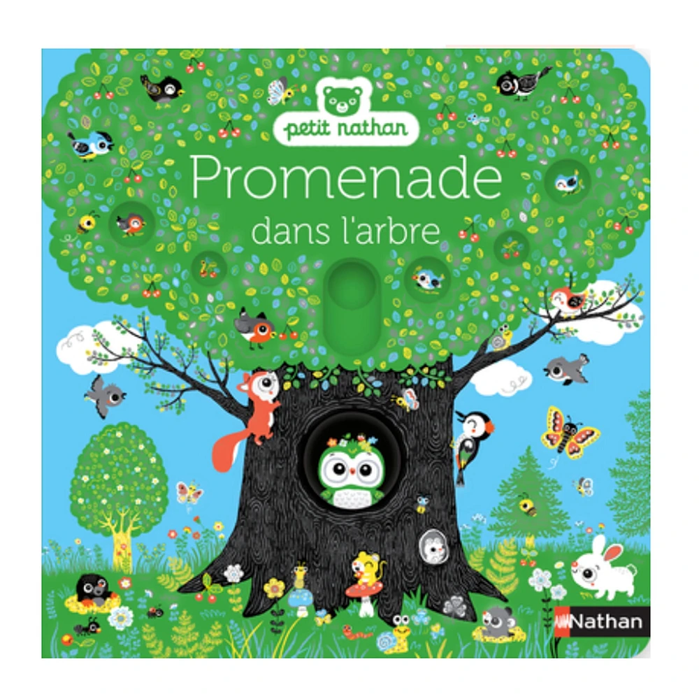 Promenade Dans Les Arbres