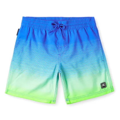 Cali Gradient Swim Shorts 8-16y