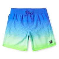 Cali Gradient Swim Shorts 8-16y