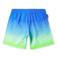 Cali Gradient Swim Shorts 8-16y