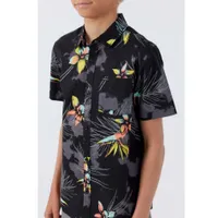 Quiver Shirt 8-16y