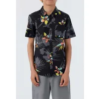 Quiver Shirt 8-16y