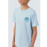 Blockhead T-shirt 8-16y