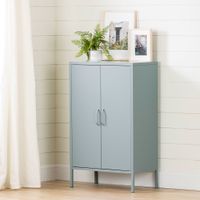 Metal 2-door Accent Cabinet Crea