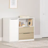 Door Chest with 2 Drawers