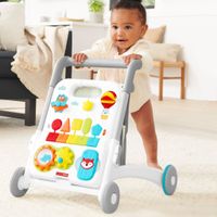 4 in 1 Activity Walker