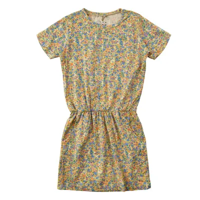 Sustainable-Fry Dress 3-14y