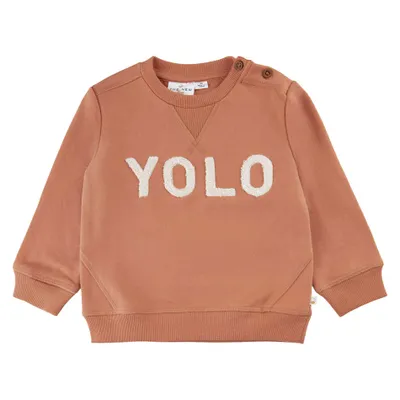 Organic Folo Sweatshirt 9-36m