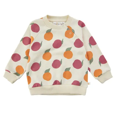 Organic Freanne Sweatshirt 9-36m