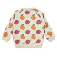 Organic Freanne Sweatshirt 9-36m