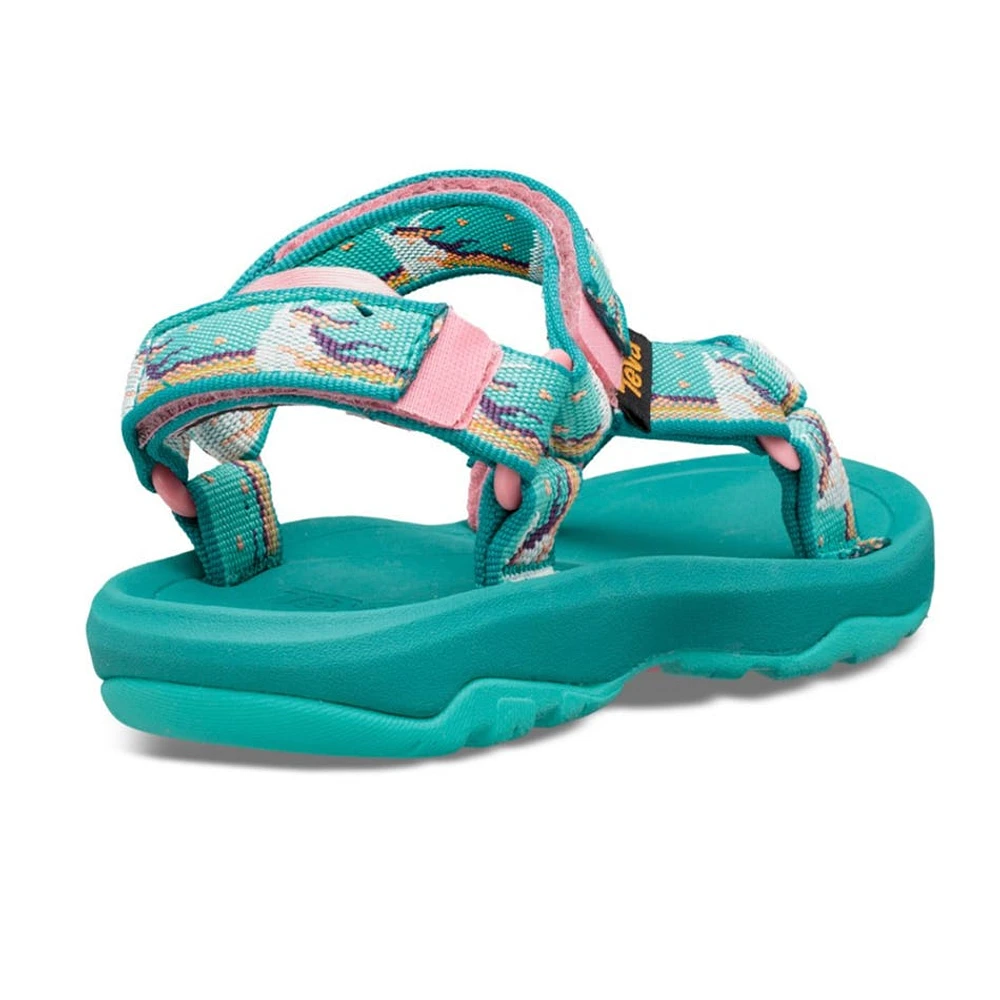 Sandale Hurricane XLT2 Pointures