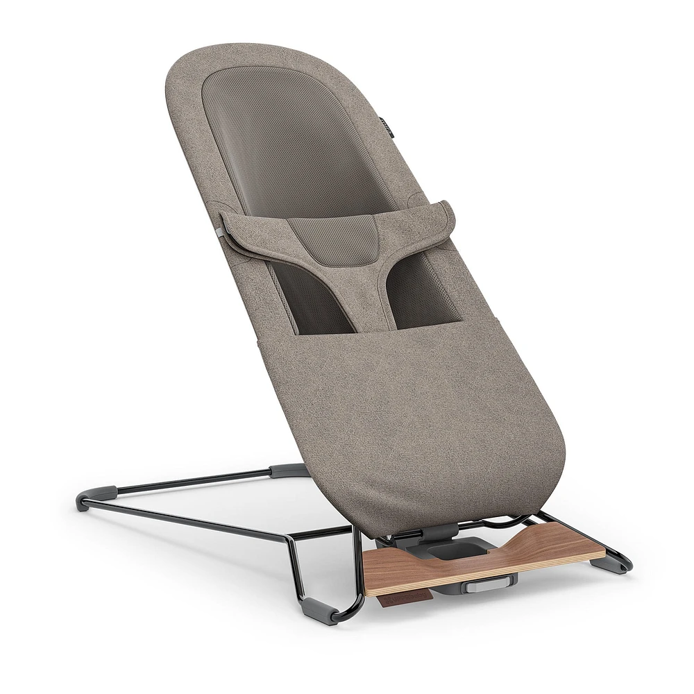 Mira 2 in 1 Bouncer and Seat