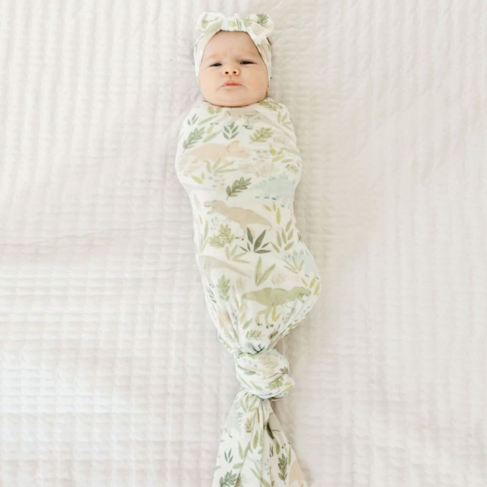 Swaddle Blanket - Dinosaurs Rex