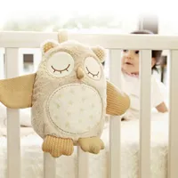 Nighty Night Owl™ Light Smart Sensor