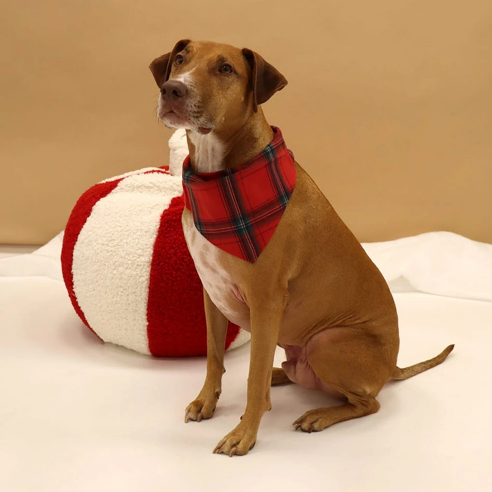 Flannel Dog Bandana