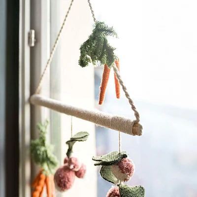 Wall Hanging Veggies