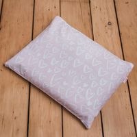 Buckwheat Pillow - Pink Hearts