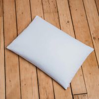 Adult Buckwheat Pillow