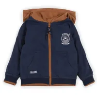 Dinosaurs Zip Hoodie 6-24m